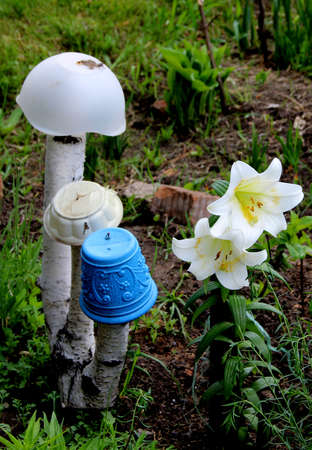 An amazing photo collage - three branches of birch grow from earth with three pots on the tops and two beautiful white flowers on the right.の写真素材