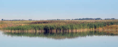 The calm surface of the lake and the reflection of the coastal grass in the water. Autumn landscape.の写真素材