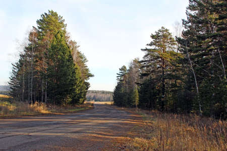 A winding road covered with fallen yellow leaves passes through a field and reaches in a wooded hill.の写真素材
