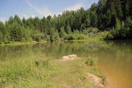 Beautiful landscape of a wild forest under water surface colored from yellow to green.の写真素材