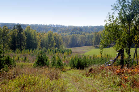 Autumn landscape of a wild nature: forest, field and glade in a different colors.の写真素材