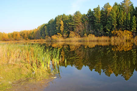 In the still surface of the water of the amazing lake, trees and the sky are reflected as in a mirror.の写真素材