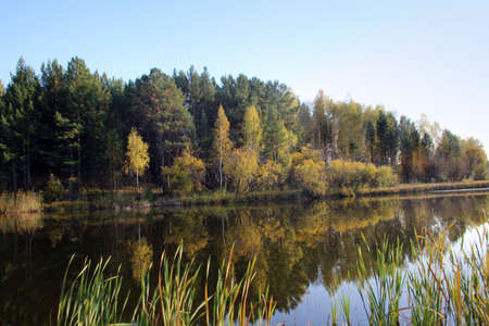 In the still surface of the water of the amazing lake, trees and the sky are reflected as in a mirror.の写真素材