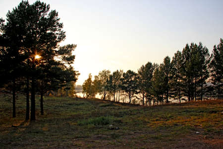 Autumn landscape at sunset. A pond, a cloudless sky, and the sun breaking through the branches of conifer trees.の写真素材