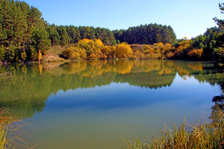 In the still surface of the water of the amazing lake, trees and the sky are reflected as in a mirror.の写真素材