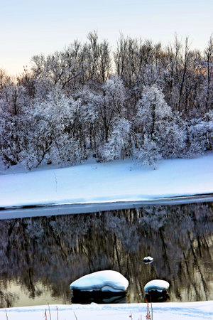 Winter landscape: water surface as a mirror and snow covered shrubs reflection and two stones with snow hats.の写真素材