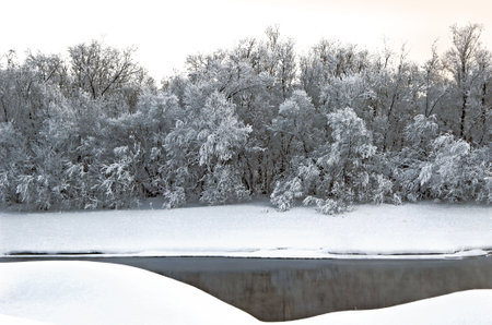 Amazing black and white winter landscape. Black triangle of the opened water and white surrounding of the snow, snow covered bushes and sky.の写真素材