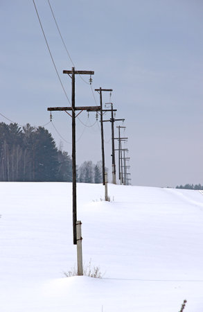 Power line poles stretch along the edge of the forest and disappear over the horizon. Winter landscape.の写真素材