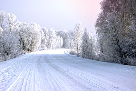 Winter landscape in silver tones. The wide snow covered road turns right and trees dressed in the silver along both edges of the road.の写真素材