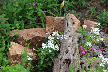 The wooden snag surrounded by stones and flowers and green grass background. Summer gardening landscape.の写真素材