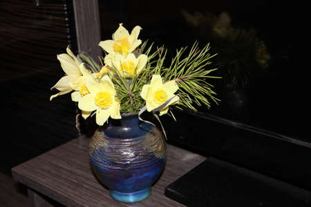 The lovely snowdrop is one of the first flowers to appear in the springの写真素材