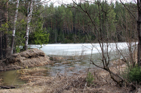 View on a frozen river through the naked branches and dry grass on the foreground. Early spring scene.の写真素材