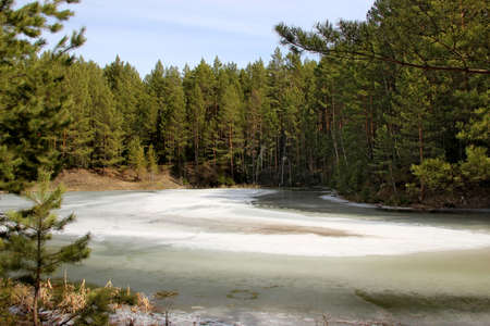 Frozen river bends over and vanishes in the conifer green forestの写真素材