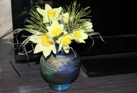 The lovely snowdrop is one of the first flowers to appear in the springの写真素材