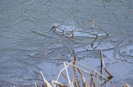 Amazing drawing on a iced water of the frozen pond made by grass.の写真素材