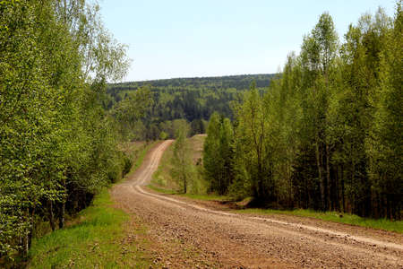 The dirt brown road descends between the trees into a hollow and abruptly rises up into the thick of the forest.の写真素材