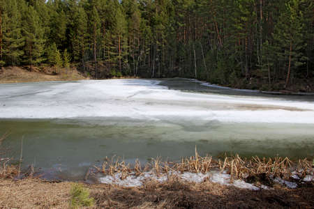 The upper corner of the triangle of the frozen river rests in a coniferous green forestの写真素材