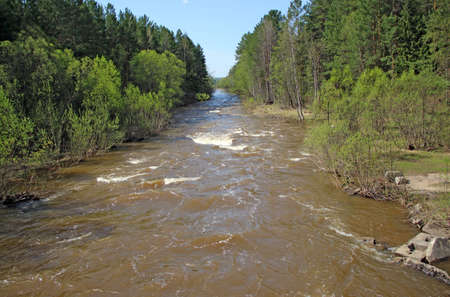 Small and fast river carries its water among green trees and bushes, and blue cloudless sky over thereの写真素材