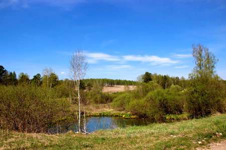 Springtime landscape. Small pond near the road surrounded by the trees and bushes. Wooded hills in the background and bright colored sky over.の写真素材