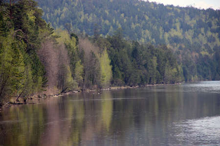 River shore planted with conifer trees and birches and its reflection in river waterの写真素材