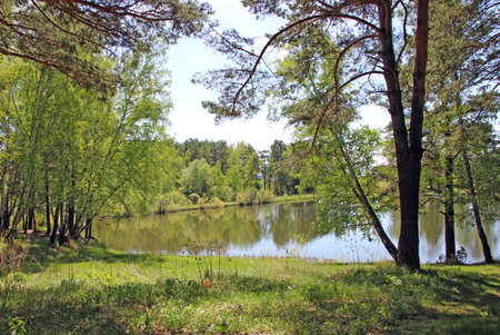 Beautiful spring landscape of the lakeshore among the trees.の写真素材