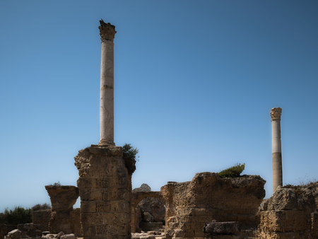 Carthage ruins of the Baths of Antoninus Pius, Tunisia, Africaの写真素材