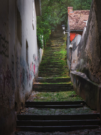 Historic Stone Steps in SighiÈ™oara, Romania
