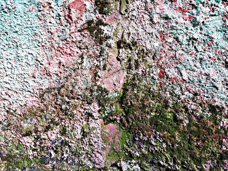 old plaster with mossの写真素材
