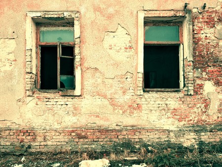 brick wall with two windows