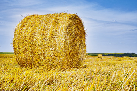 Yellow stack of straw on a field and blue sky