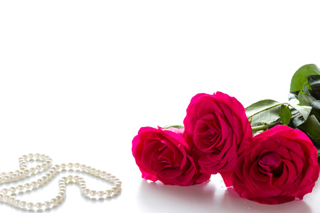 Red rose and pearl necklace on a white background. Flower on Valentine's Day.の写真素材