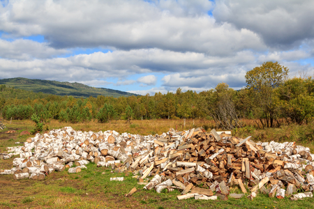 Harvesting birch wood on a meadow. Bright sunny autumn day in the mountains of the Southern Urals.の写真素材