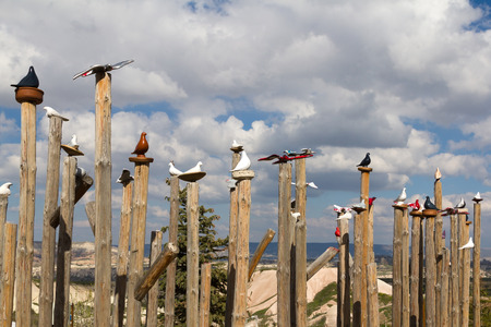 The sculptural composition. A flock of pigeons on wooden poles. Cappadocia.の写真素材