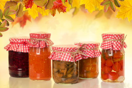Five cans of house preparations on the autumn background.の写真素材