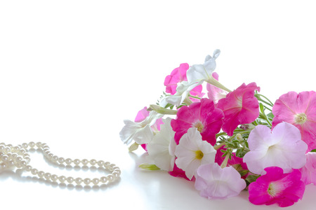 Bouquet of pink petunias on a white background and a pearl necklace. Space for text.の写真素材