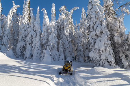Snowmobile is in the winter forest but the trail.の写真素材