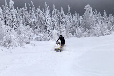 The sportsman on a snowmobile moving through deep snowdrifts in the winter forest in the mountains...