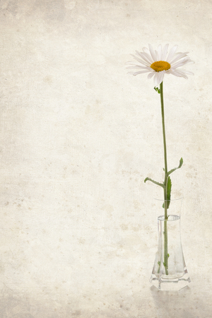 White daisy in a clear vase on vintage background.の写真素材