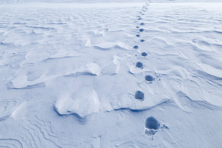 Footprints in the snow field that go beyond the horizon.の写真素材