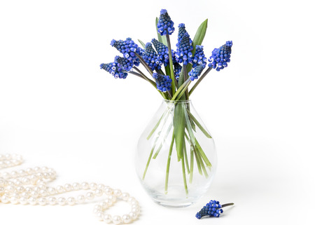 Bouquet of hyacinths in a transparent vase and pearl necklace on a white background. Space for text.の写真素材