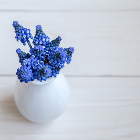 Bouquet of hyacinths in a white vase  on a white backgroundの写真素材