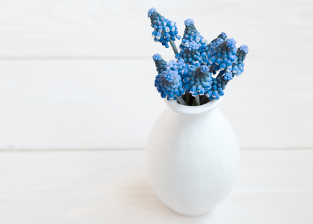Bouquet of hyacinths in a white vase  on a white backgroundの写真素材