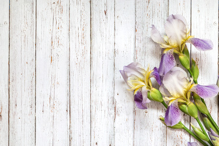 Bouquet of irises on a wooden background. Place for the text.
