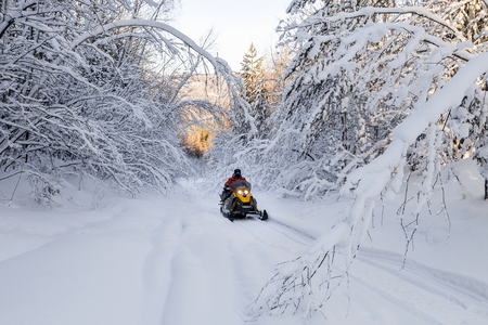 Athlete on a snowmobile moving in the winter forest in the mountains of the Southern Urals.の写真素材