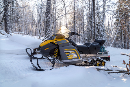 A yellow snowmobile stands on a trail in a winter forest.