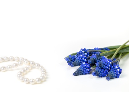 Bouquet of hyacinths and a pearl necklace on a white background. Place for the text.の写真素材