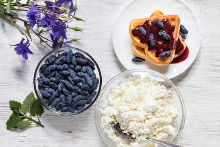 Breakfast with cottage cheese, honeysuckle and waffles on a light table.の写真素材