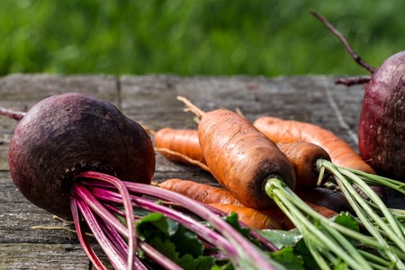 Freshly harvested whole carrots and beets with leavesの写真素材