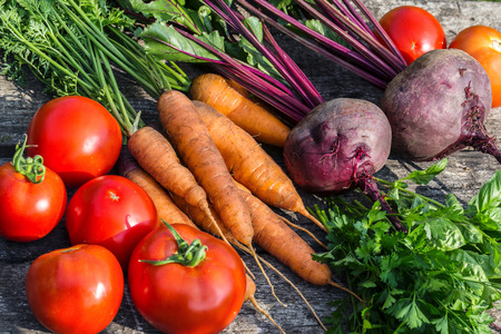 Freshly harvested whole carrots and beets with leaves, tomatoes and greens on a wooden background.