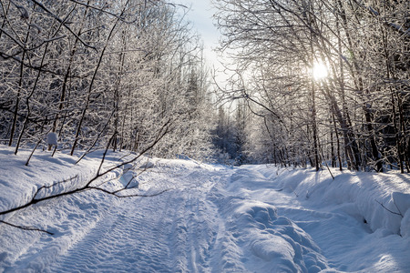 Snowmobile trail leading into the winter woods. Snow-covered trees in winter in the mountains of the...